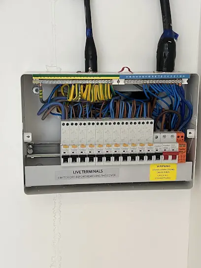 Londoners electric