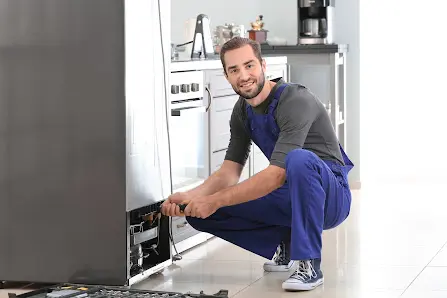 The Amana Fridge Repair Company